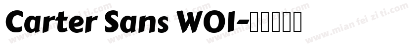 Carter Sans W01字体转换